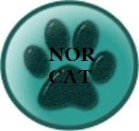NorCat logo