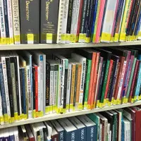 Professional Collection