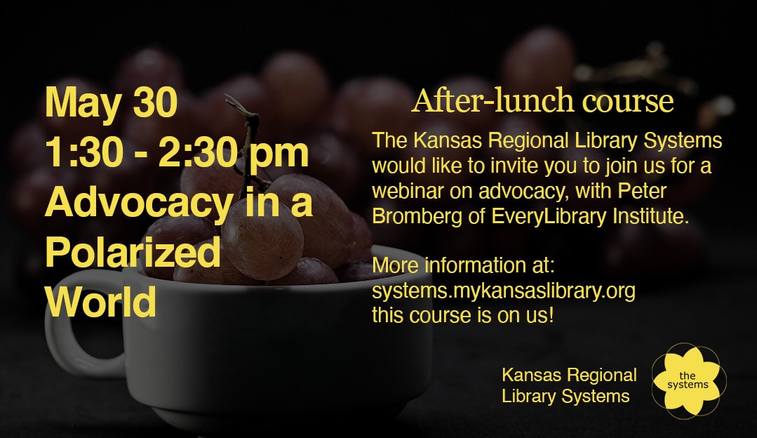After Lunch Advocacy in a Polarized World May 30